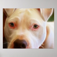 Pitbull Puppy Dog Eyes Art Photography
