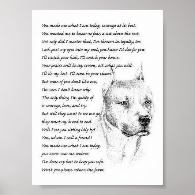 Póster pitbullpoem (Frente)