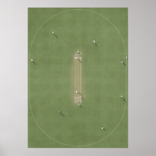 Póster Pitch de críquet ilustrado desde arriba