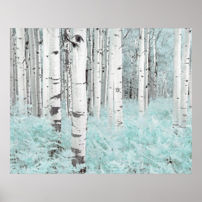 Póster PixDezines Bosque de abedules de invierno cama de  (Frente)