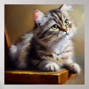 Póster Pixie-bob Cat