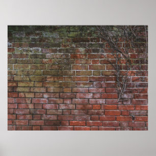 Póster Pizarra de madera marrón y negra