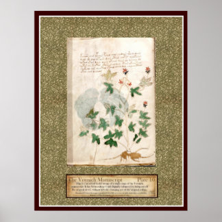 Póster Placa 10 de Voynich