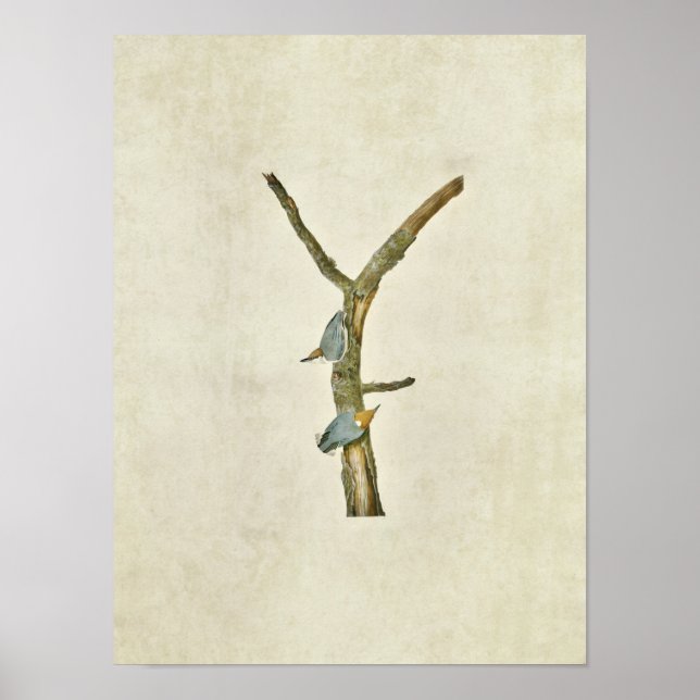 Póster Placa 125 | Nana marrón (Frente)