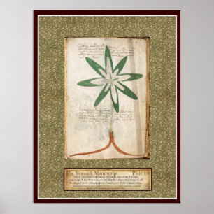 Póster Placa 13 de Voynich