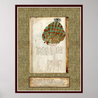Póster Placa 22 de Voynich