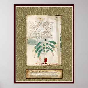 Póster Placa 27 de Voynich