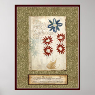 Póster Placa 30 de Voynich
