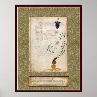 Póster Placa 8 de Voynich