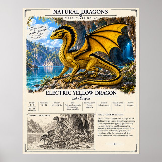 Póster Placa de Campo Amarillo Eléctrico (Frente)