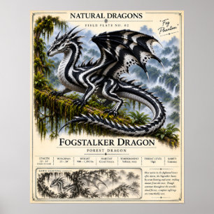 Póster Placa de Campo de Cazador de Niebla