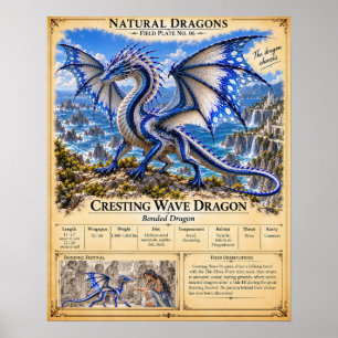 Póster Placa de Campo de Ola Creciente