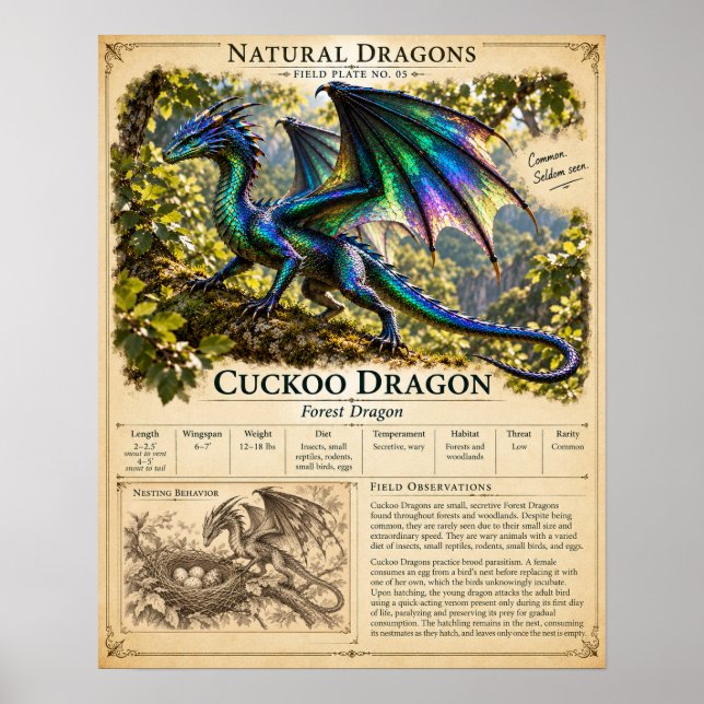 Póster Placa de Campo del Cuco (Frente)