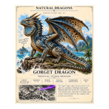 Placa de Campo del Dragón Gorget