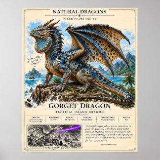 Póster Placa de Campo del Dragón Gorget