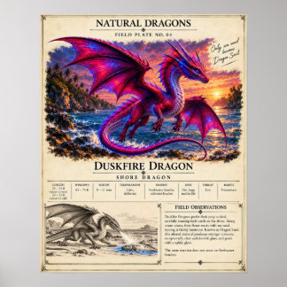 Póster Placa de Campo Duskfire