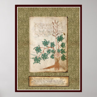 Póster Placa de Voynich 17