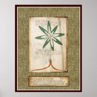 Póster Placa Voynich 13