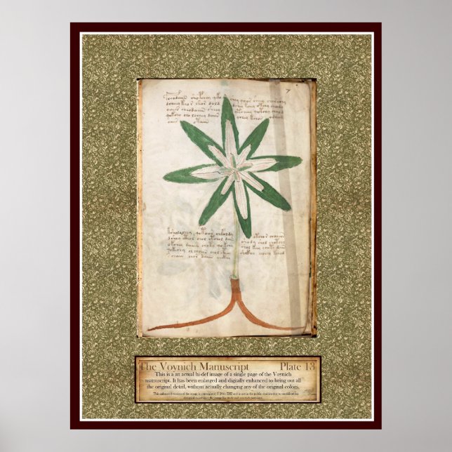 Póster Placa Voynich 13 (Frente)