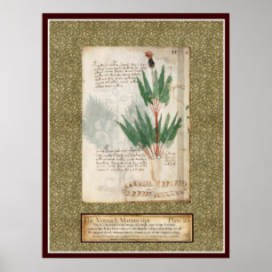 Póster Placa Voynich 25