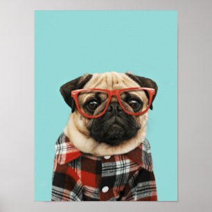 Póster Plaid Shirt Pug