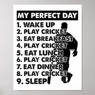 Póster Plan de día de cricket jugador de cricket
