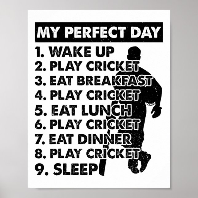 Póster Plan de día de cricket jugador de cricket (Frente)