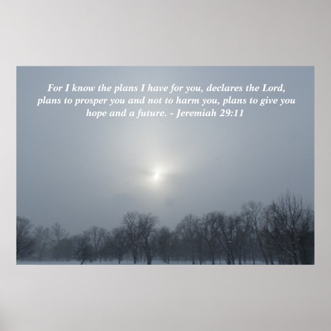 PÓSTER PLAN DE DIOS (Frente)