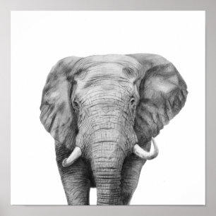 Póster Plan de respaldo IV