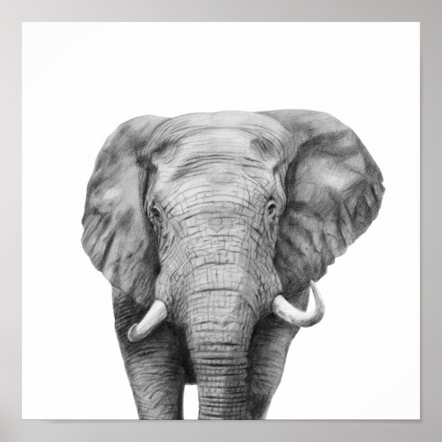 Póster Plan de respaldo IV (Frente)