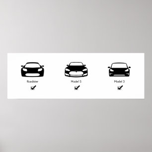 Póster Plan Maestro Tesla Poster Matte