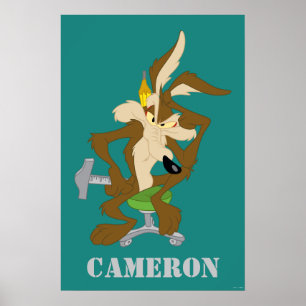 Póster Planificación de WILE E. COYOTE™
