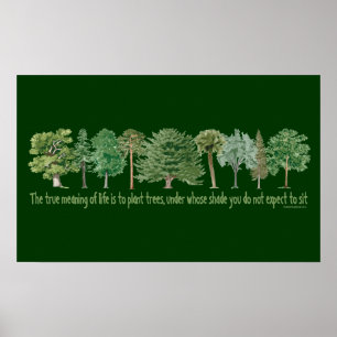 Póster Plant Trees