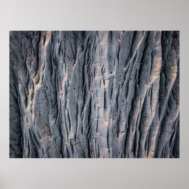 Póster Planta (Frente)