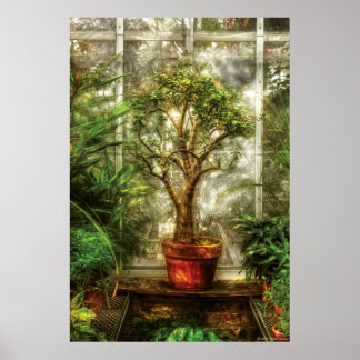 Póster Planta - Árbol de vida
