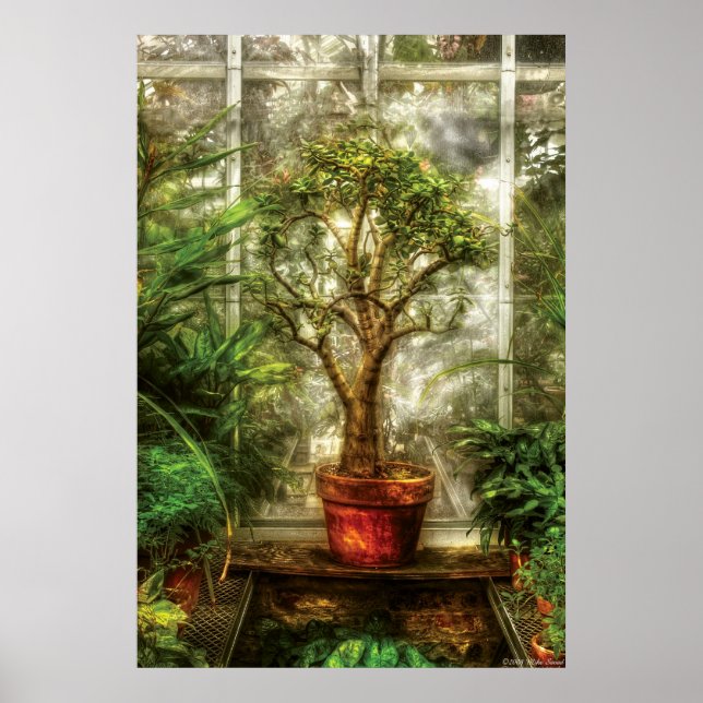 Póster Planta - Árbol de vida (Frente)