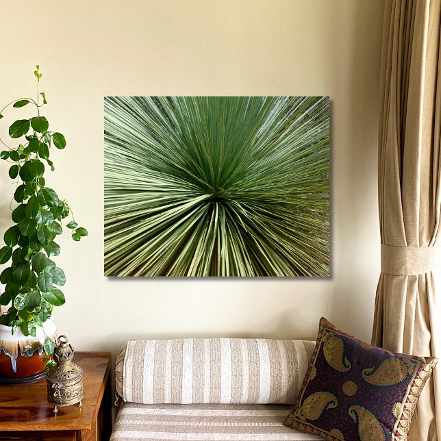 Póster Planta Australiana - abstracta (Subido por el creador)