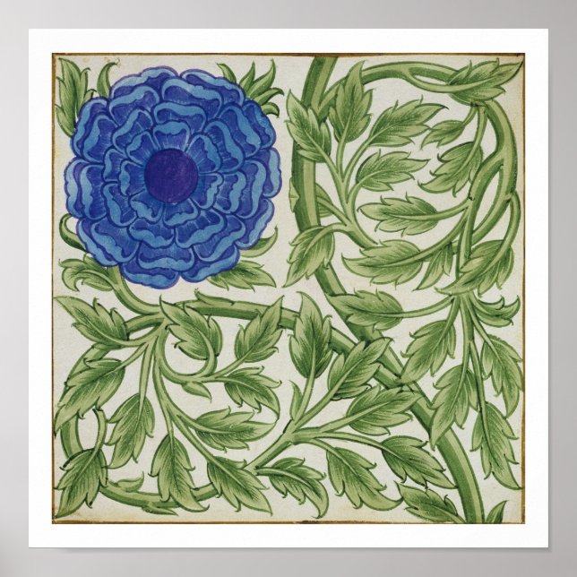 Póster Planta con flor azul (p/c sobre papel) (Frente)