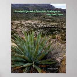 Póster Planta de agave verde azul en las montañas del des