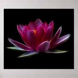 Póster Planta de agua de flores de Lotus