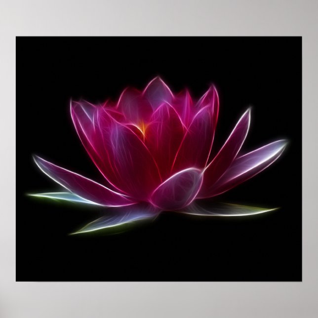 Póster Planta de agua de flores de Lotus (Frente)