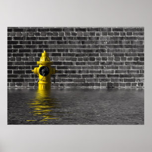 Póster Planta de agua No 1