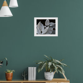 Póster Planta de Alas de Ángel Blancas Plateadas Floral