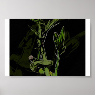 Póster Planta de Bambú