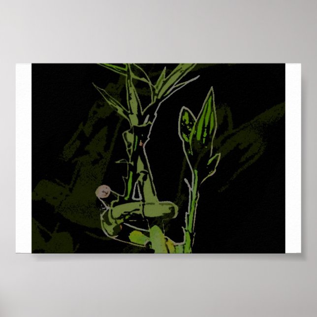 Póster Planta de Bambú (Frente)