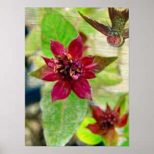 Póster Planta de Bonito 2