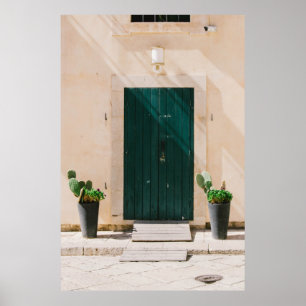 PÓSTER PLANTA DE CACTUO VERDE CERCA DE LA PUERTA VERDE