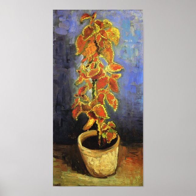 Póster Planta de Coleus en un Bella Artes de Van Gogh en  (Frente)