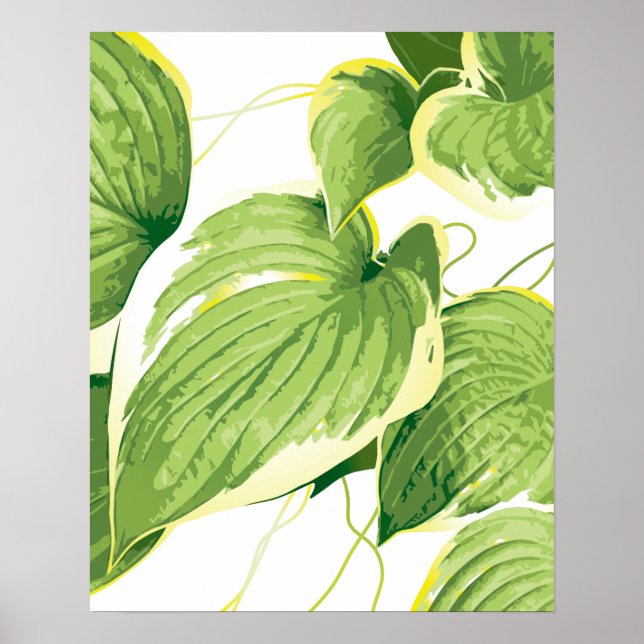Póster Planta de Ficus 2 (Frente)