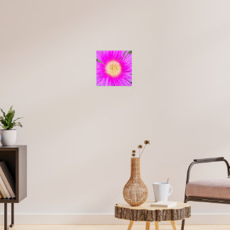 Póster Planta de hielo mediterránea rosa eléctrico